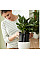 Вставка з автополивом Elho Self-Watering Insert 21 см, чорна