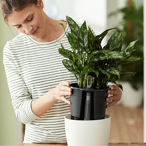 Вставка з автополивом Elho Self-Watering Insert 21 см, чорна