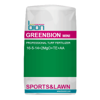 Літнє добриво для газону Greenbion Prime mini 16-5-14, 25 кг