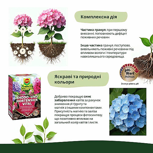 Тверде удобрення для рододендронів та гортензій COMPO