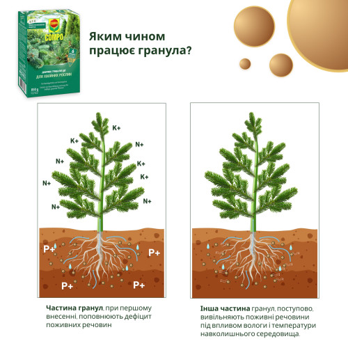 Тверде добриво тривалої дії для хвойних COMPO, 0,85 кг