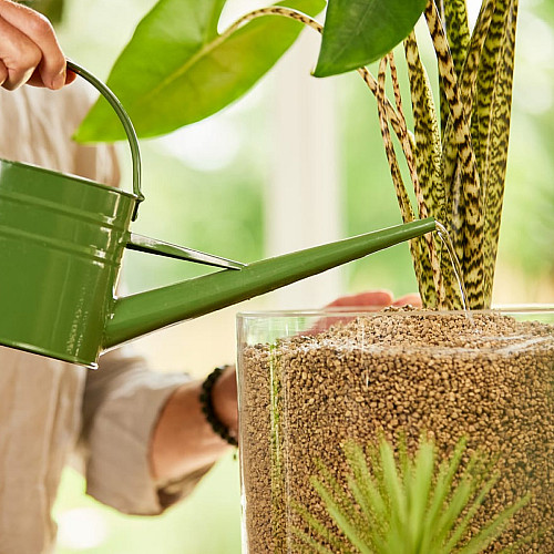 Рідке добриво COMPO BIO GRANUPLANT для рослин у гранульованому субстраті, 0,5л