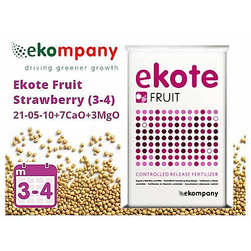 Добриво Ekote Fruit Strawberry 21-05-10+7CaO+3MgO (3-4 місяців) для суниці, полуниці та ягідних культур, 25 кг