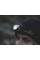 Ліхтар налобний Easy Camp Crowberry (680324)