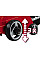 Аератор-скарифікатор Einhell GC-SA 1231/1 1200Вт 31см 28л до 300м2