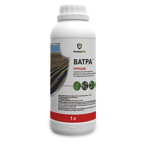 Гербіцид суцільної дії Ватра р.к. ProtectON 1 л