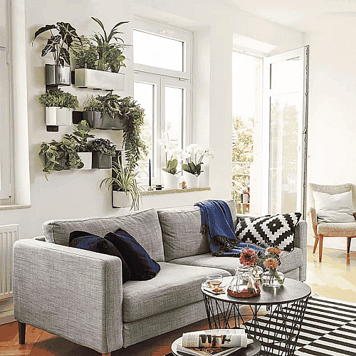 Вазон Lechuza Green Wall Home Kit Glossy Антрацит