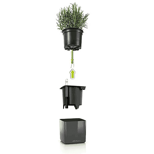 Вазон Lechuza Green Wall Home Kit Glossy Антрацит