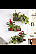 Вазон Lechuza Green Wall Home Kit Glossy Антрацит