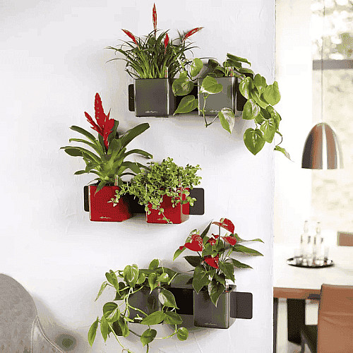 Вазон Lechuza Green Wall Home Kit Glossy Антрацит