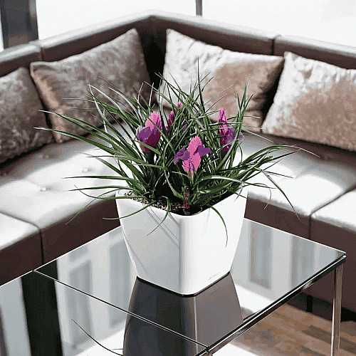 Вазон Lechuza Quadro Premium LS 21 Білий