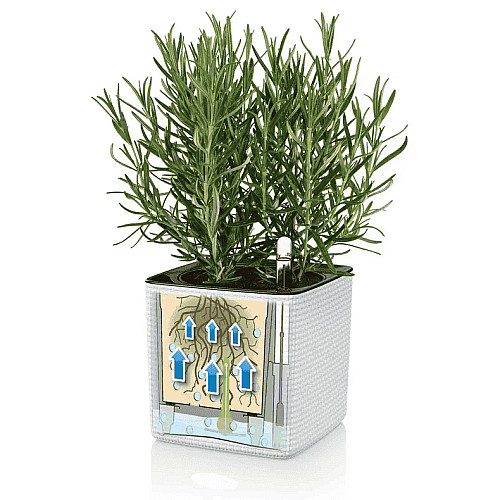 Вазон Lechuza Green Wall Home Kit Color Білий