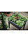 Теплица в комплекте Green Basics Grow Kit All in 3, черный