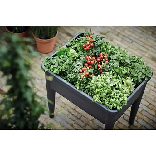 Теплица в комплекте Green Basics Grow Kit All in 3, черный