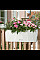 Вазон Lechuza Balconera Cottage 50 Бежевый