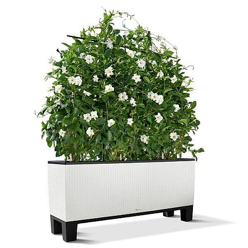 Подставка Lechuza под Trio Cottage 40