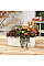 Вазон Lechuza BALCONERA Color 40, мускат