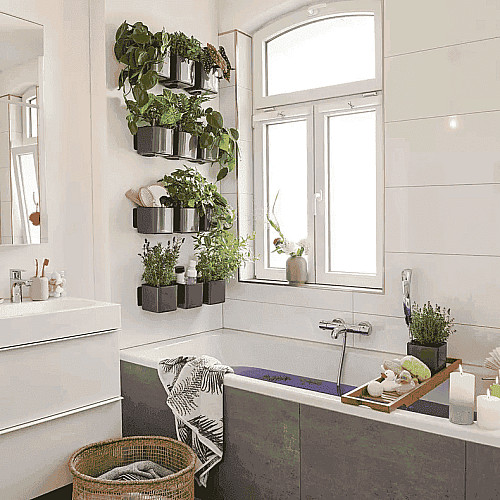 Вазон Lechuza Green Wall Home Kit Glossy Антрацит