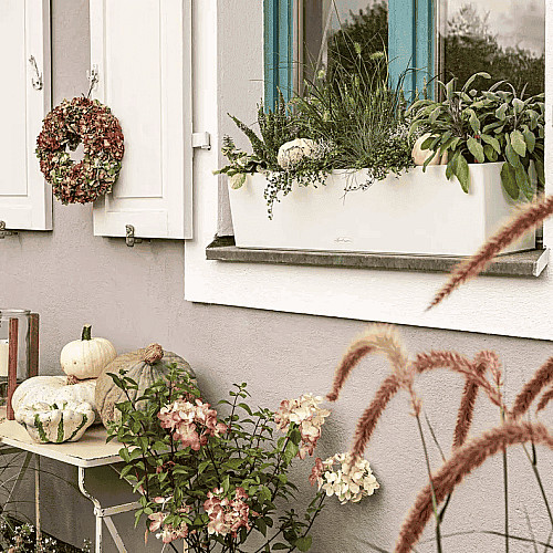 Вазон Lechuza Balconera Color 80 Серый