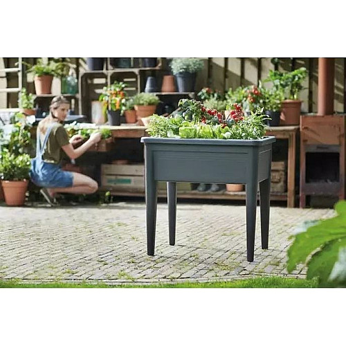 Теплица в комплекте Green Basics Grow Kit All in 3, черный