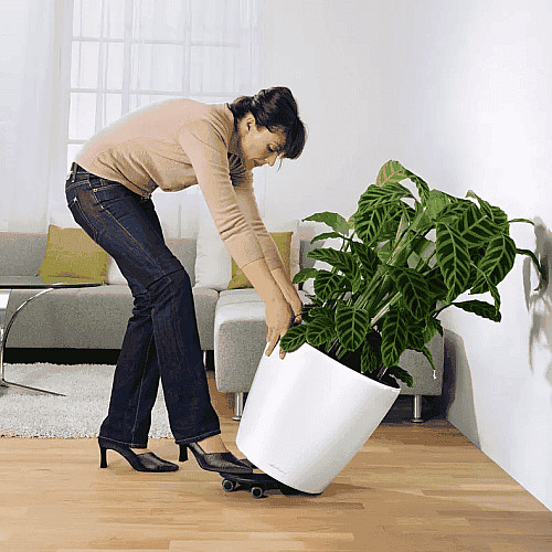 Вазон Lechuza Classico Premium 60 Білий