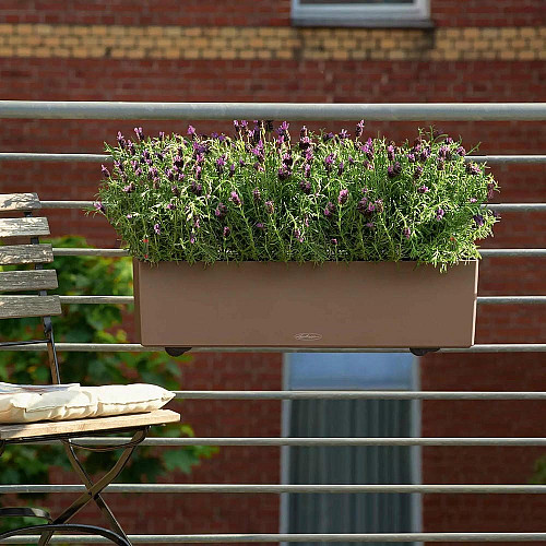 Вазон Lechuza BALCONERA Color 40, мускат
