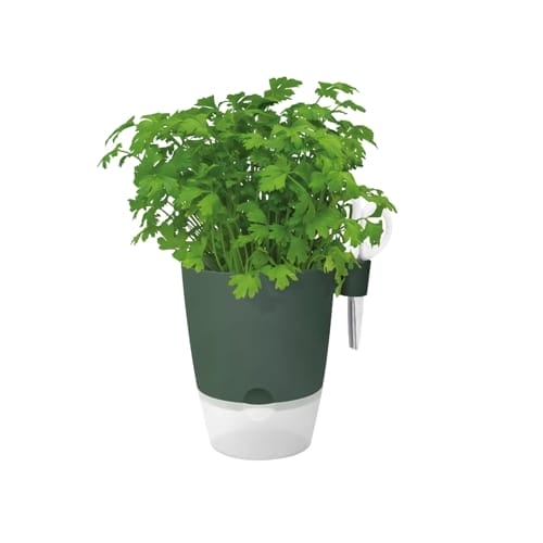 Вазон Elho Brussels Herbs (зелений)