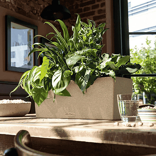 Вазон Lechuza Balconera Stone 50 Бежевий