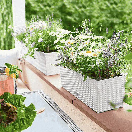 Вазон Lechuza Balconera Cottage 50 Бежевый