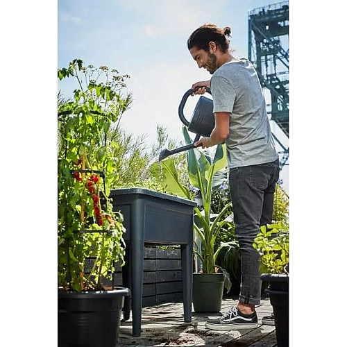 Теплица в комплекте Green Basics Grow Kit All in 3, черный