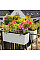 Вазон Lechuza BALCONERA Color 40, мускат