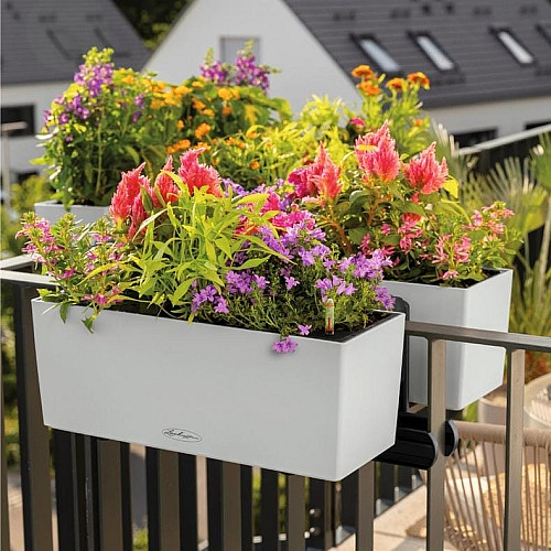 Вазон Lechuza BALCONERA Color 40, мускат