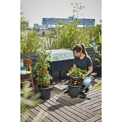 Теплица в комплекте Green Basics Grow Kit All in 3, черный