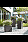 Вазон Lechuza Canto Stone 30 високий, темно-сірий