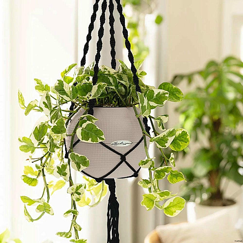 Підвіс Lechuza Macramé BOHO 90 чорний
