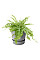 Вазон Elho greenville plant hanger single світлий граніт