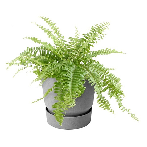 Вазон Elho greenville plant hanger single світлий граніт