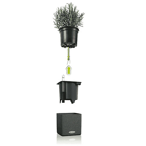Вазон Lechuza Green Wall Home Kit Color Білий