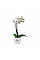 Вазон Elho brussels orchid 16 см прозорий