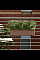 Вазон Lechuza Balconera Color 80 Серый