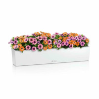 Вазон Lechuza Balconera Color 100, білий