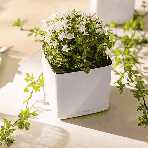 Вазон Lechuza Cube Glossy 14 Антрацит