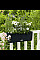 Вазон Lechuza Balconera Cottage 50 Бежевый