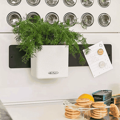 Вазон Lechuza Green Wall Home Kit Color Білий