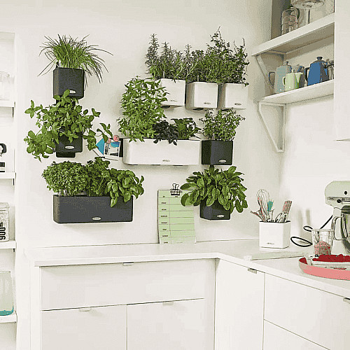 Вазон Lechuza Green Wall Home Kit Color Білий