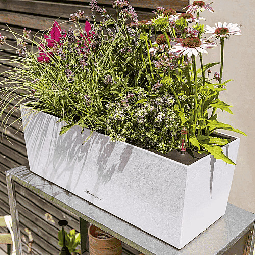 Вазон Lechuza Balconera Stone 50 Бежевий