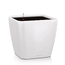 Вазон Lechuza Quadro Premium LS 50 Белый