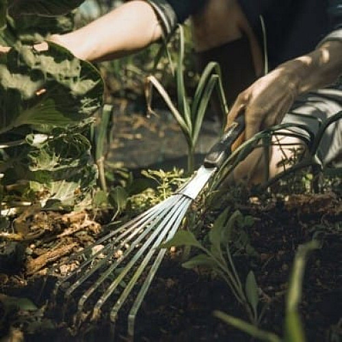 Ручна граблі Fiskars Xact (1027044)