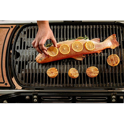 Газовый гриль Weber Traveler черный
