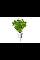 Змінний картридж Click and Grow Петрушка 7359 (3 капсули)